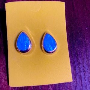 Turquoise silver earrings